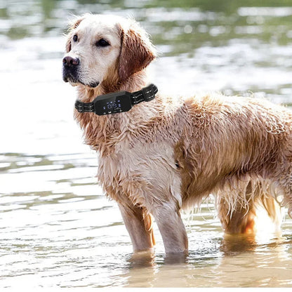 Electric Fence for Dogs