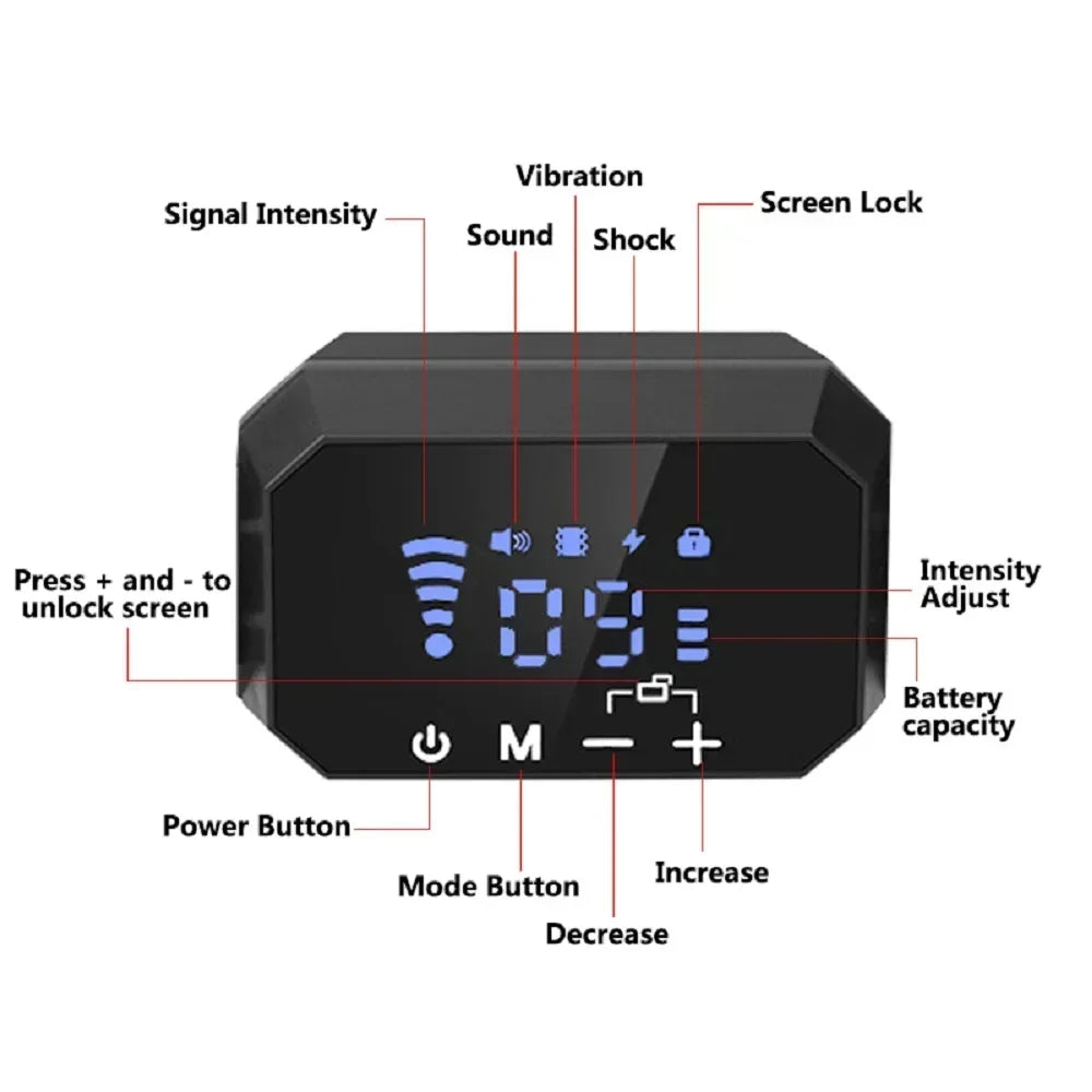 Electric Fence for Dogs