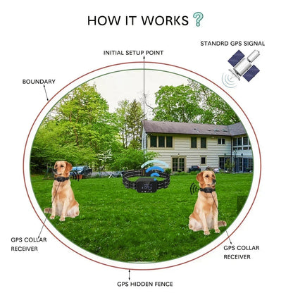 Electric Fence for Dogs