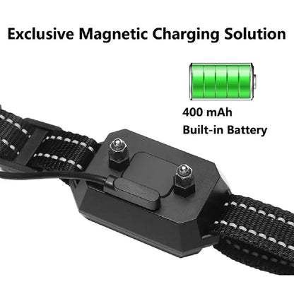 Electric Fence for Dogs
