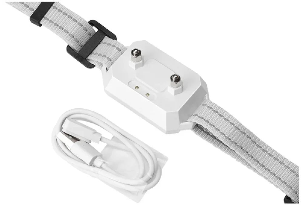 Electric Fence for Dogs