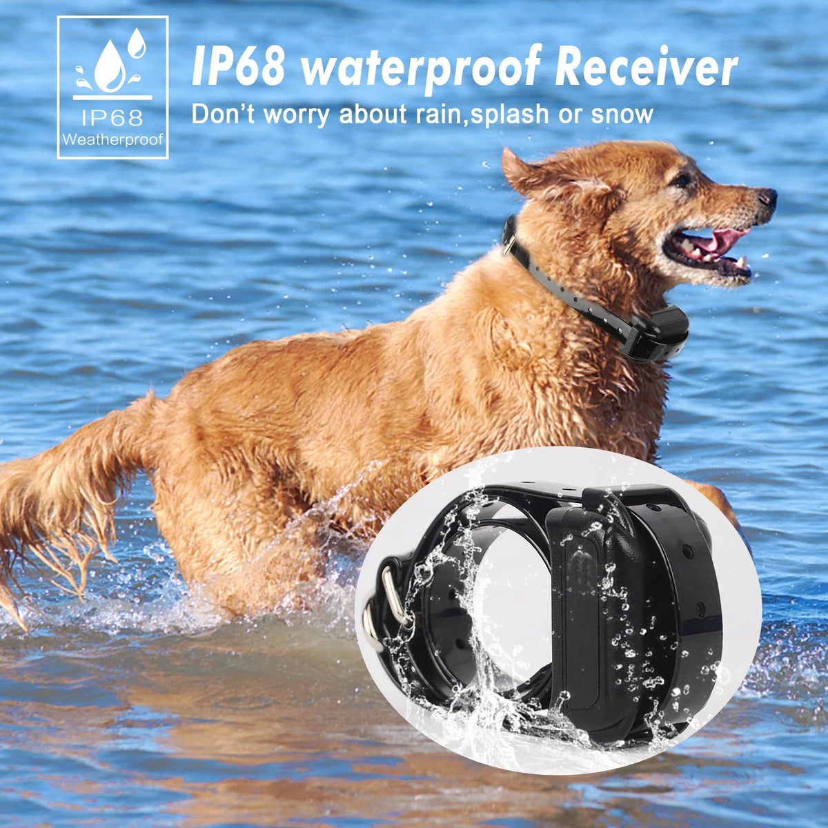 GPS Wireless Dog Fence