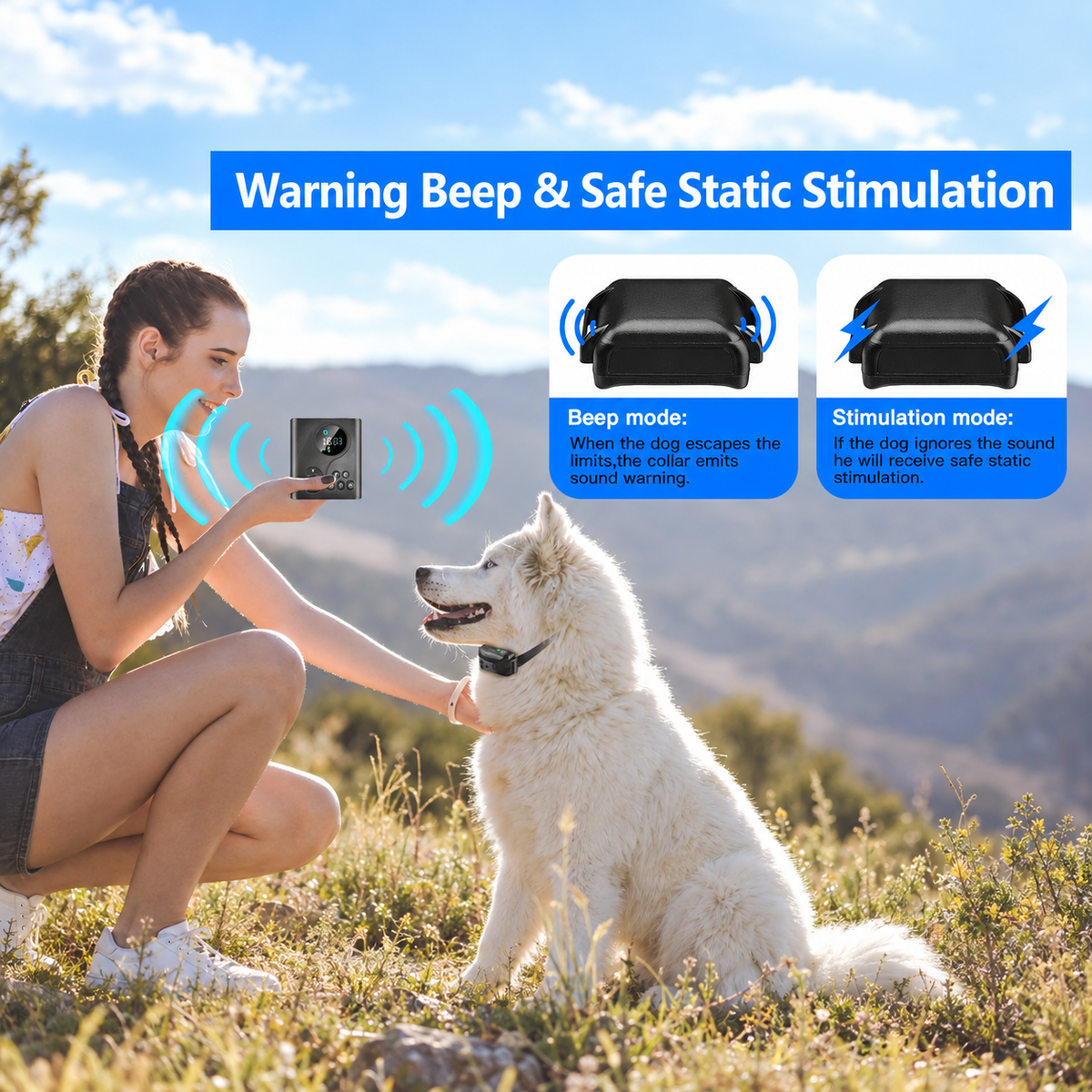 GPS Wireless Dog Fence